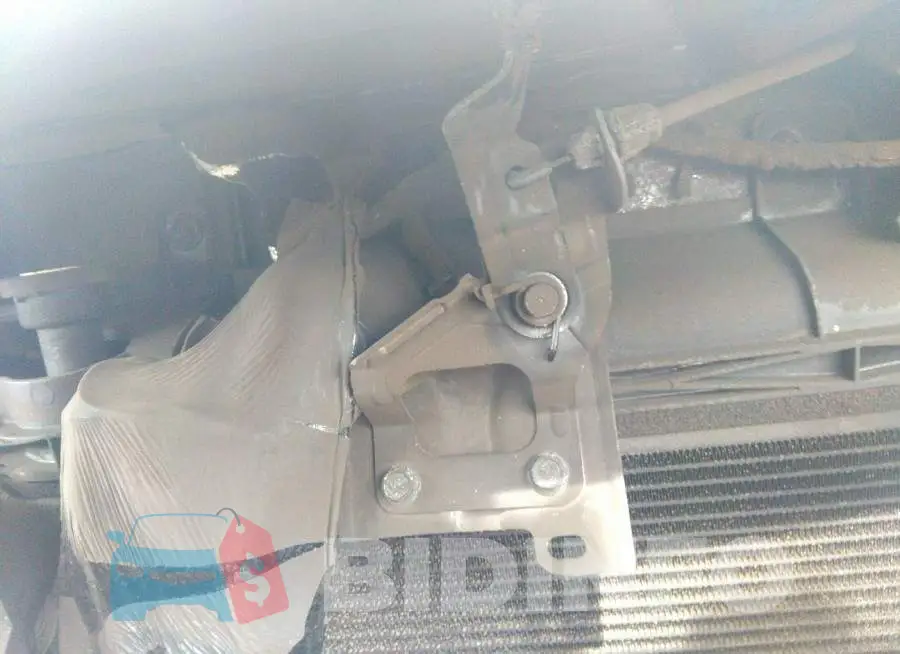 KNMAT2MT1GP633331 Photo# 10