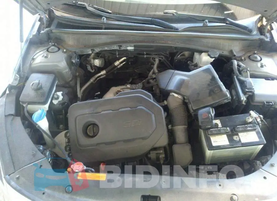 5XXGU4L33GG031395 Photo# 10