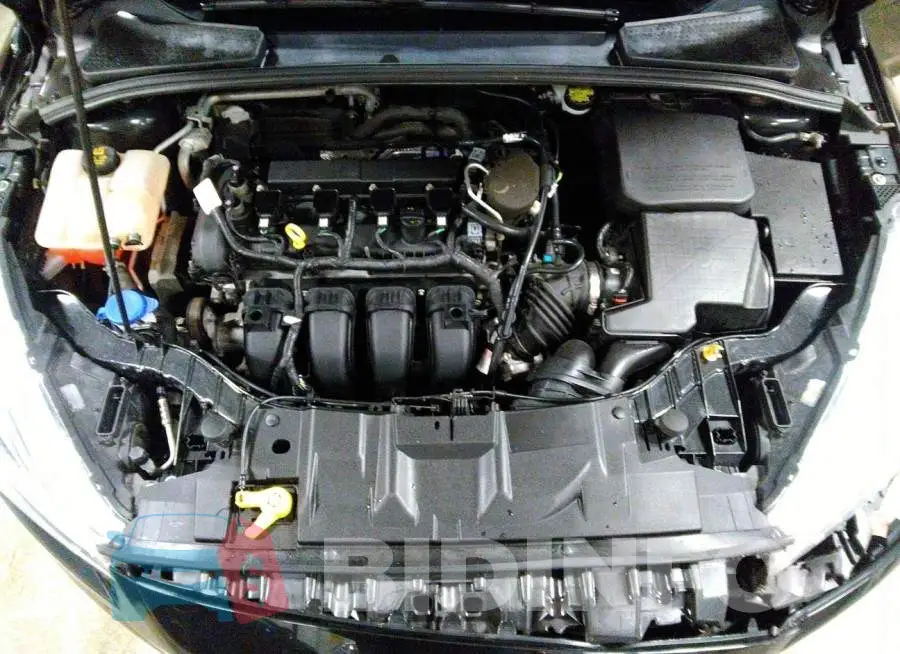 1FADP3K24FL382933 Photo# 10