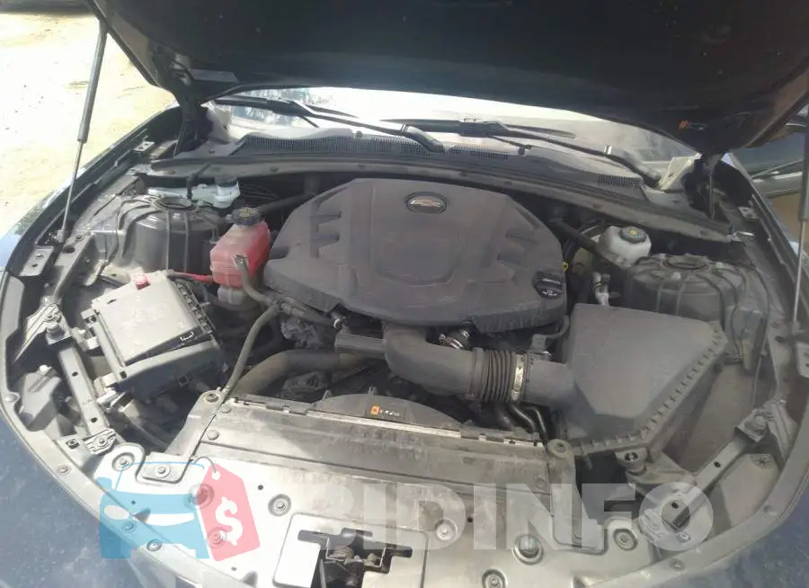 1G1FB1RS9M0102670 Photo# 10