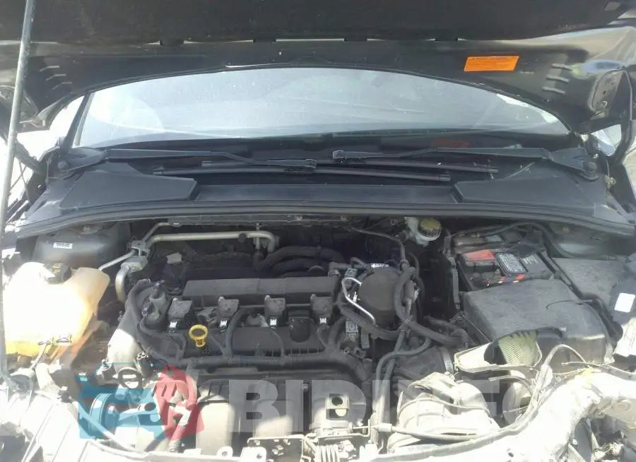 1FADP3F21FL251002 Photo# 10