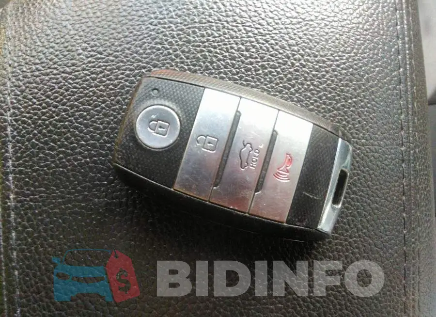 KNAGM4AD4G5096771 Photo# 11
