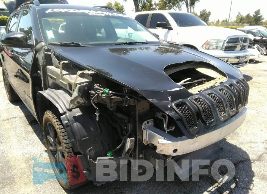 1C4PJLDB8GW272800 Photo# 6