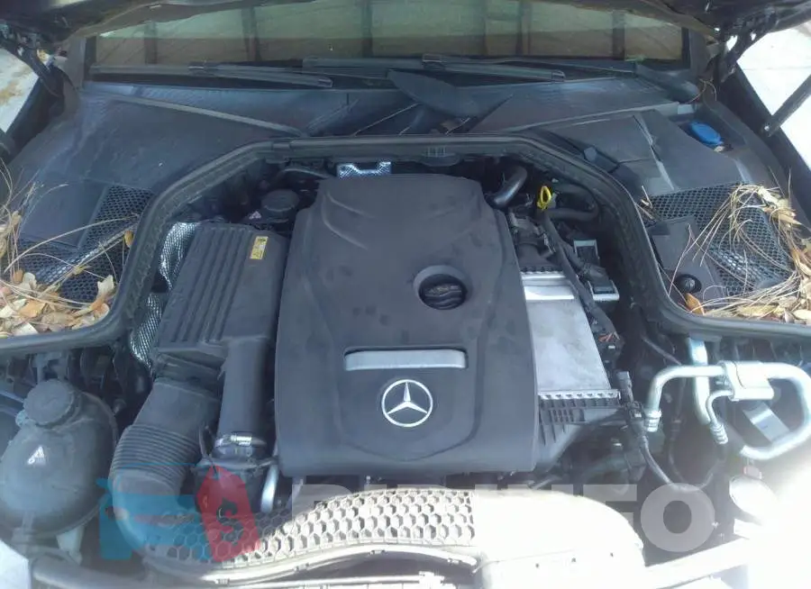 55SWF4JB4GU172140 Photo# 10