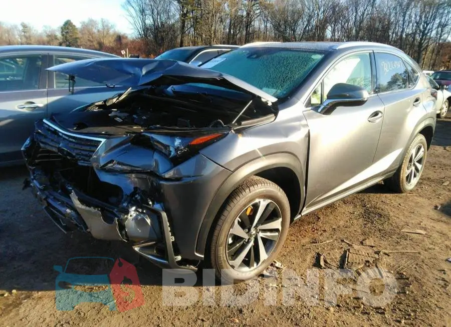 JTJGARDZ8M2255902 Photo# 2