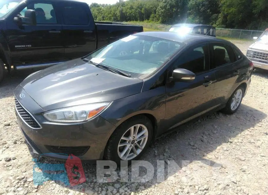 1FADP3F22GL247591 Photo# 2