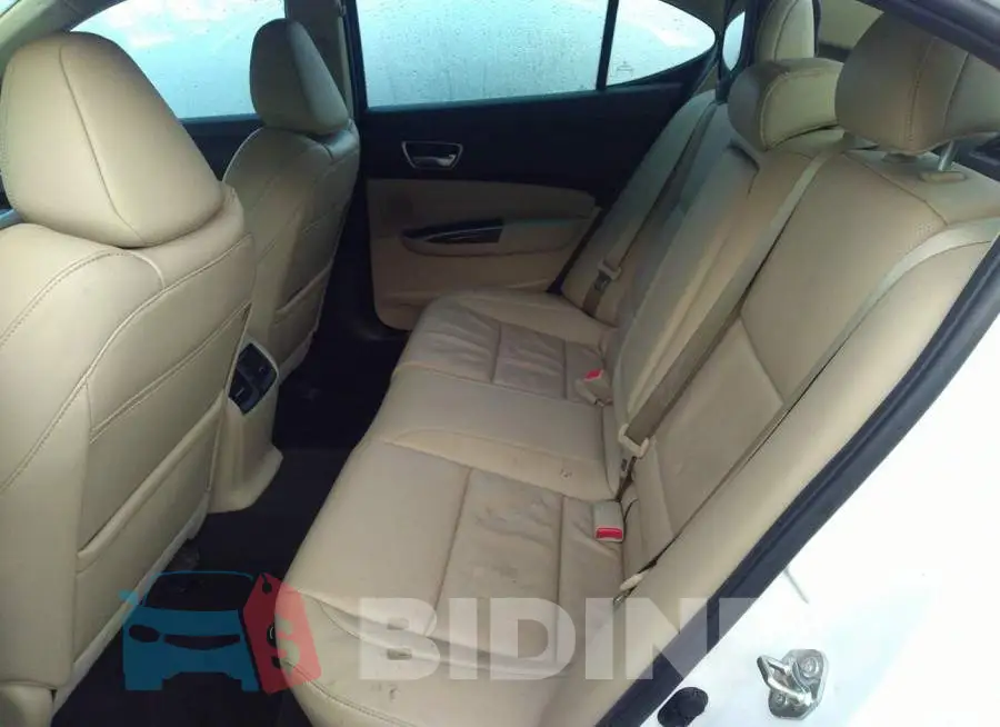 19UUB1F52KA007275 Photo# 8