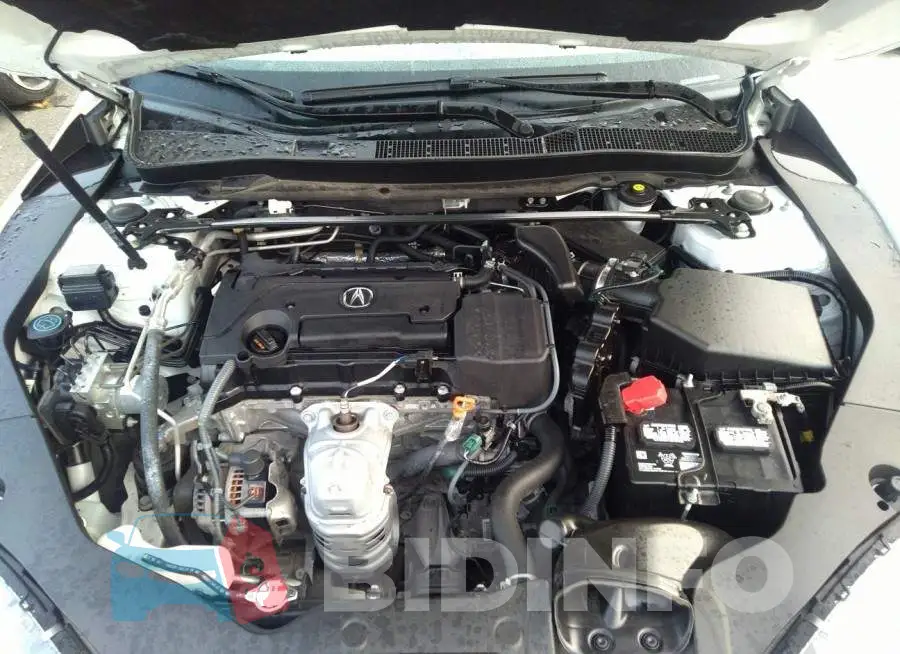 19UUB1F52KA007275 Photo# 10