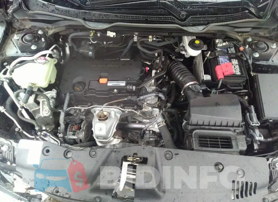 19XFC2F82LE210203 Photo# 10