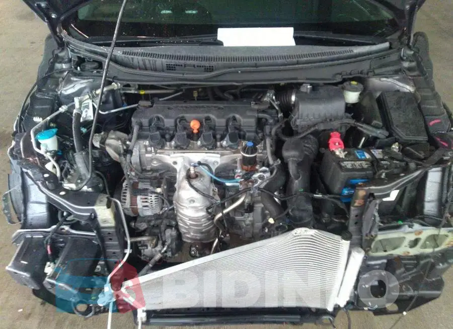 19XFB2F54FE102257 Photo# 10
