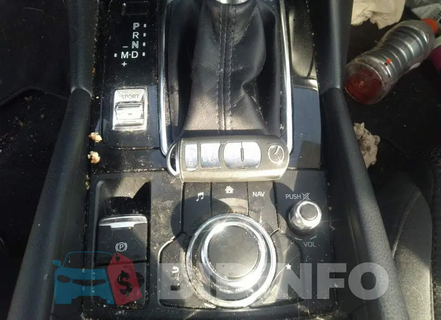 JM1BN1U78H1100201 Photo# 11