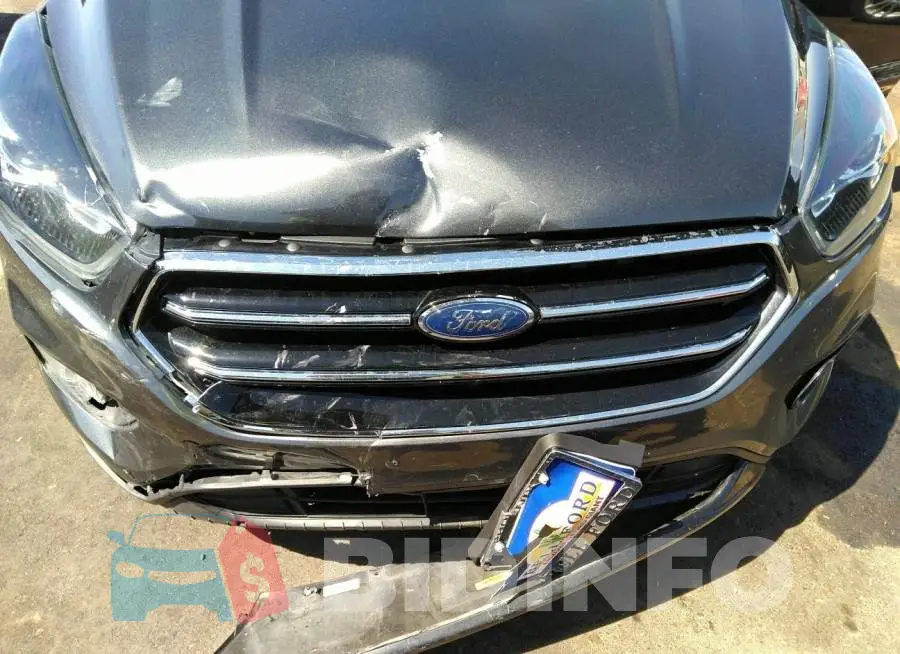 1FMCU0GD7KUB79381 Photo# 6