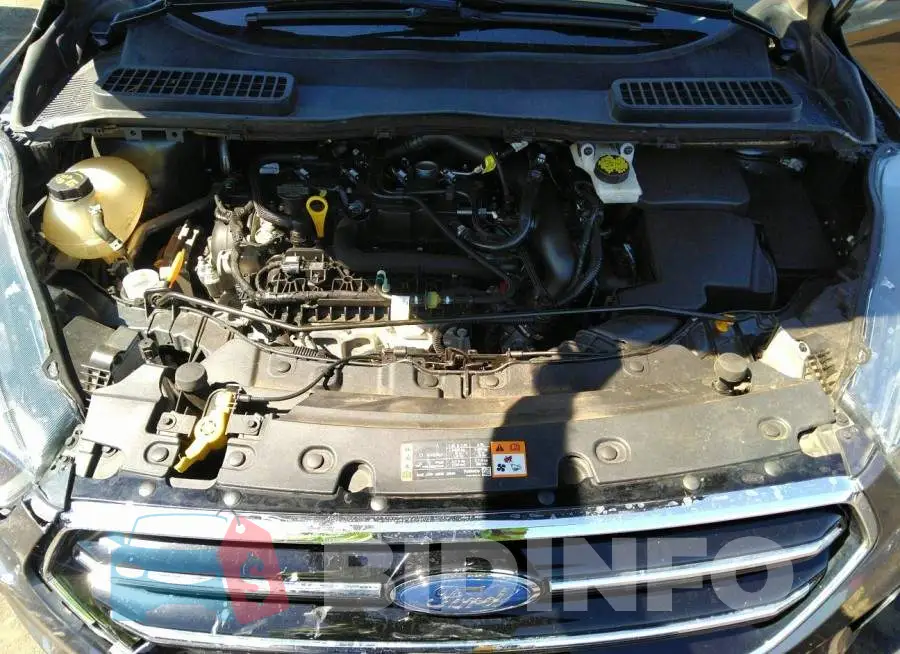 1FMCU0GD7KUB79381 Photo# 10