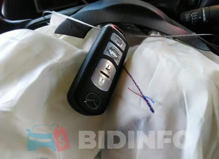 JM1BM1T74G1306859 Photo# 11