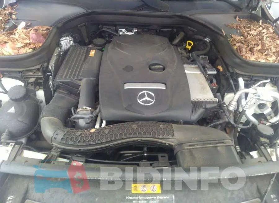 WDC0G4JBXHF183218 Photo# 10