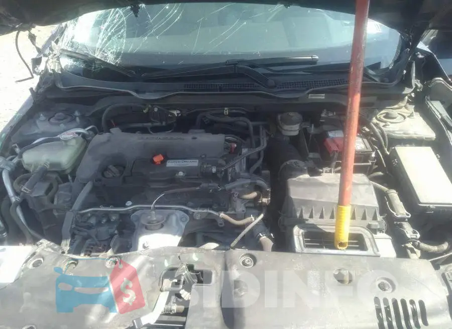 19XFC2F51GE216229 Photo# 10