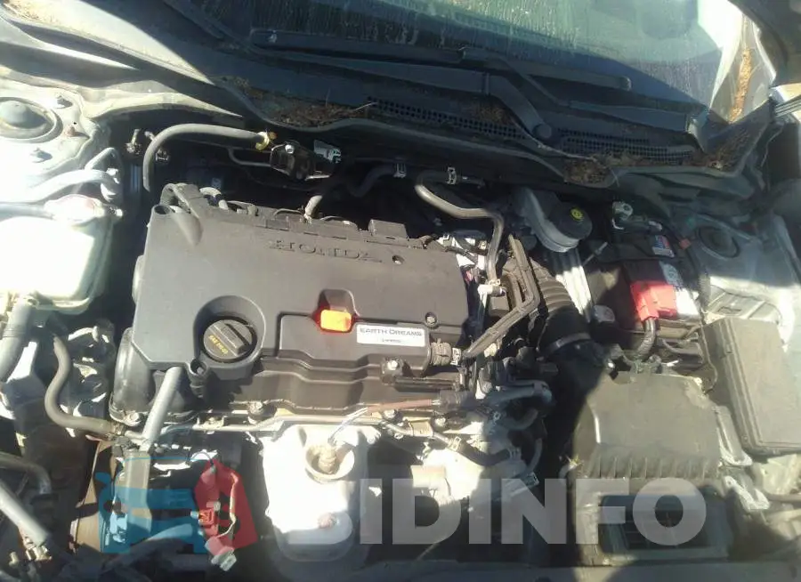 19XFC2F58GE251138 Photo# 10