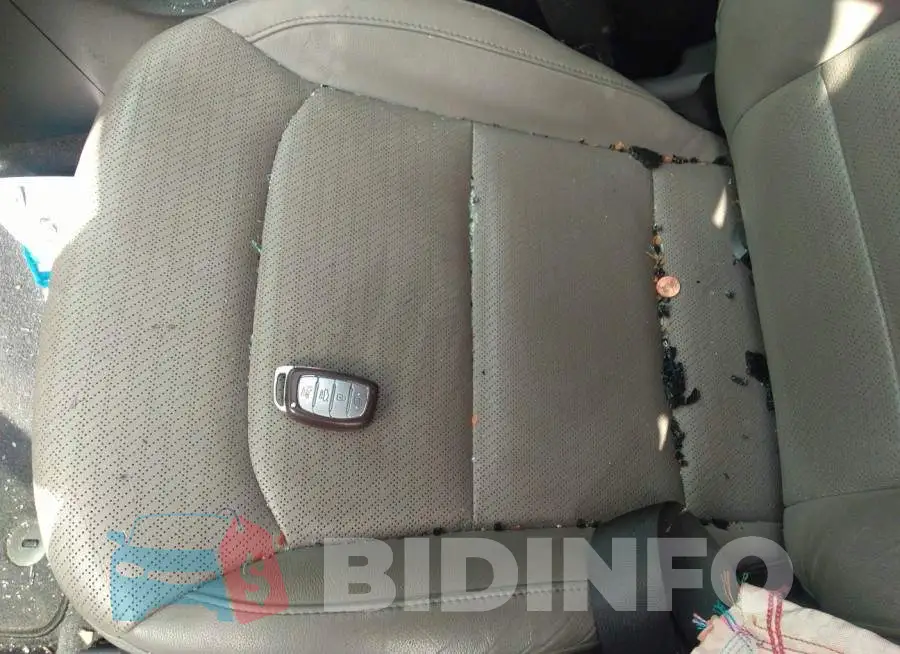 5NPD84LF3HH106233 Photo# 11