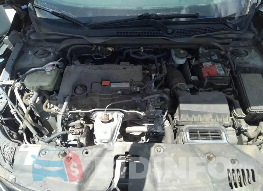 19XFC2F51GE041500 Photo# 10