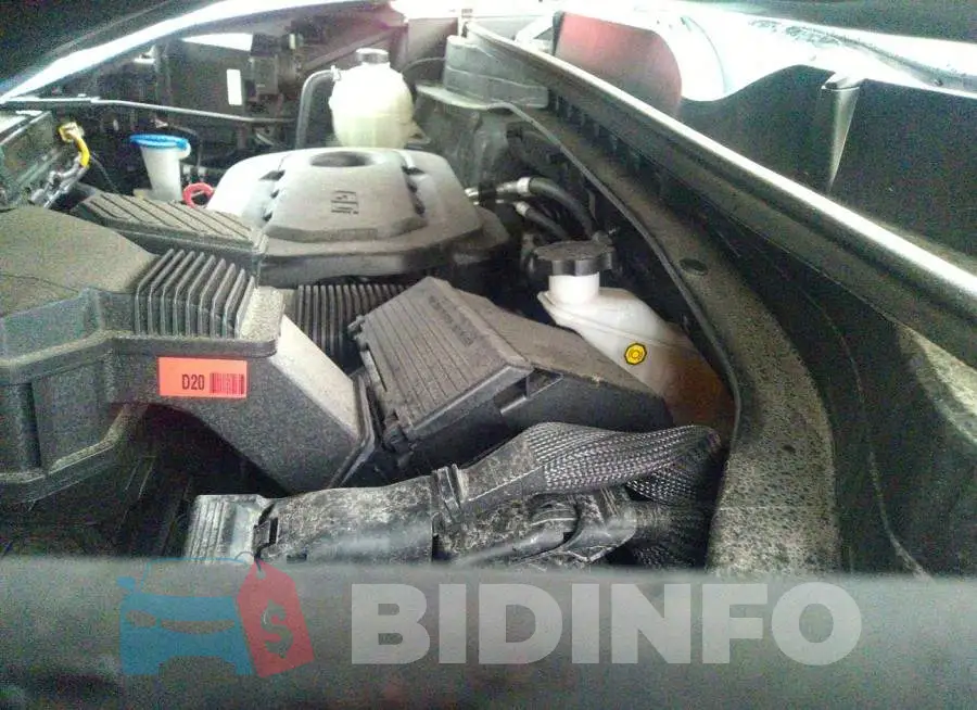 KNDPMCAC6L7831544 Photo# 10