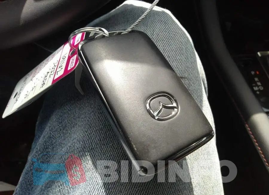 JM1BPALL2N1507225 Photo# 11
