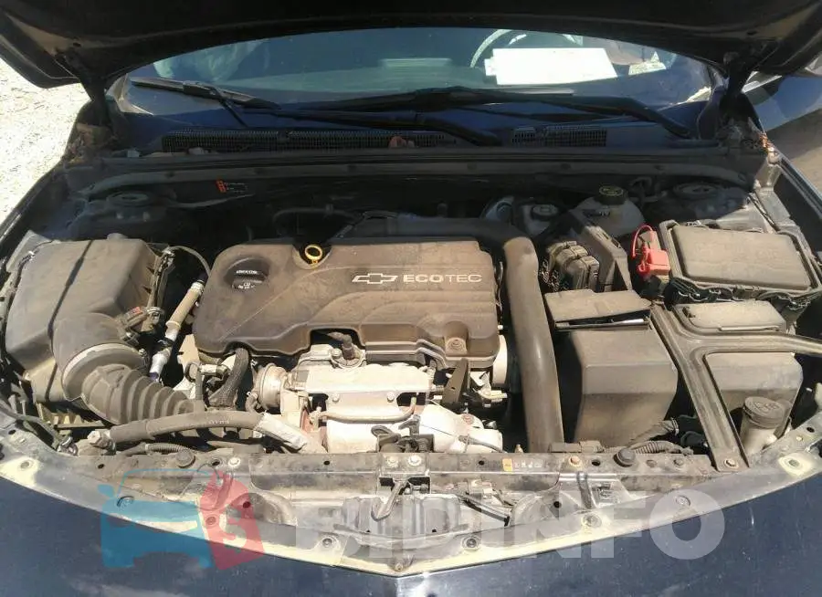 1G1ZB5ST0HF180653 Photo# 10