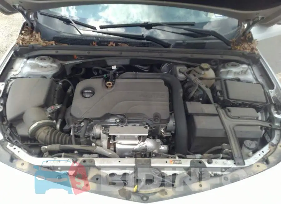 1G1ZD5ST0KF161750 Photo# 10