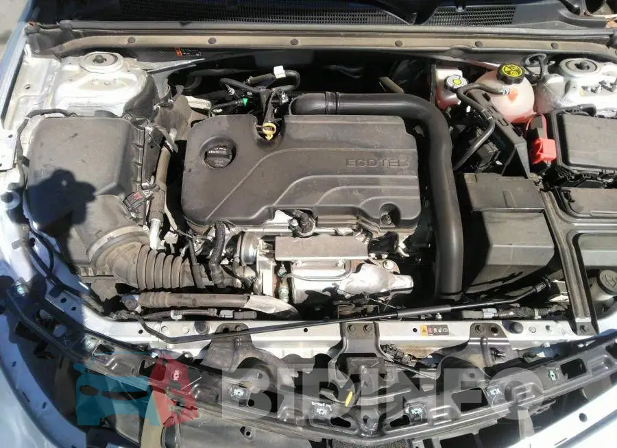 1G1ZD5ST1MF073941 Photo# 10