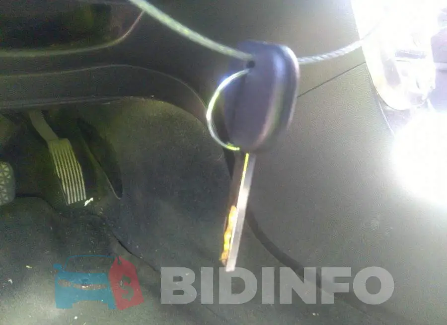 1G11F5SL1FF241667 Photo# 11