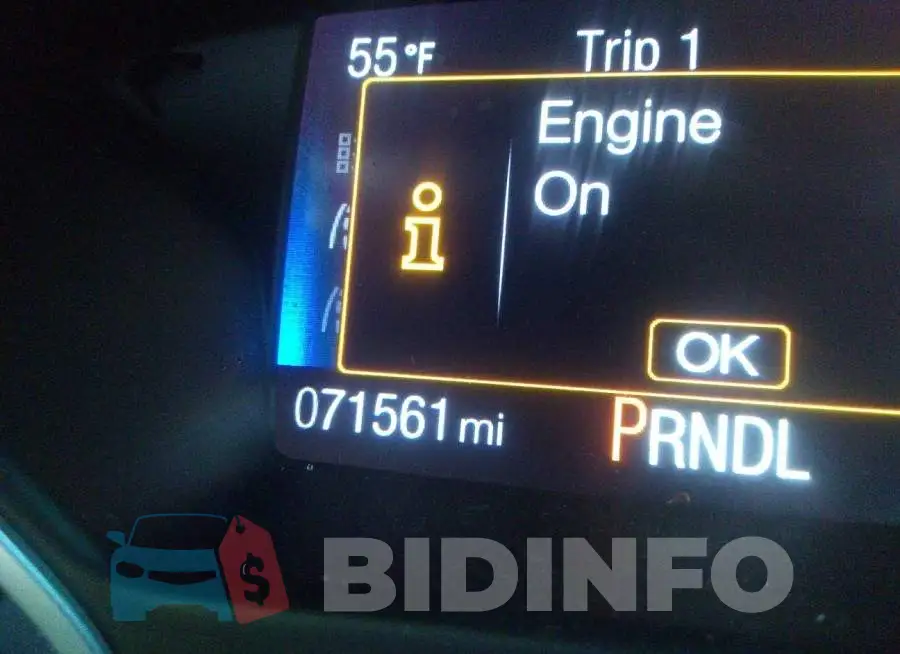 1FADP3F24GL253408 Photo# 7