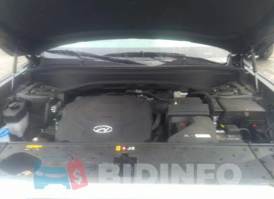 KM8R3DHEXLU116367 Photo# 10