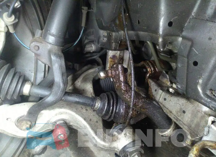JN1BV7AR4FM410840 Photo# 6