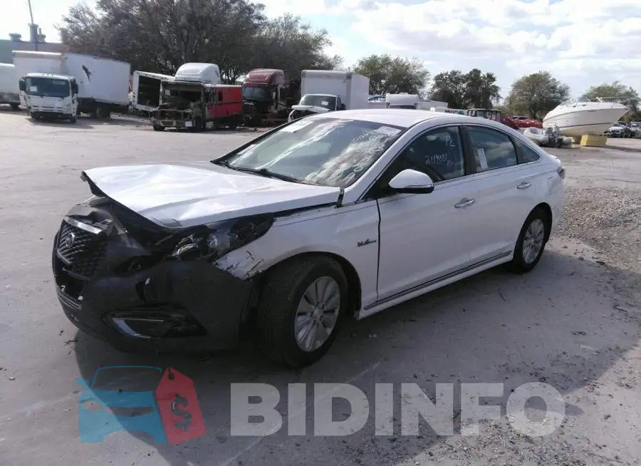 KMHE24L16GA013489 Photo# 2
