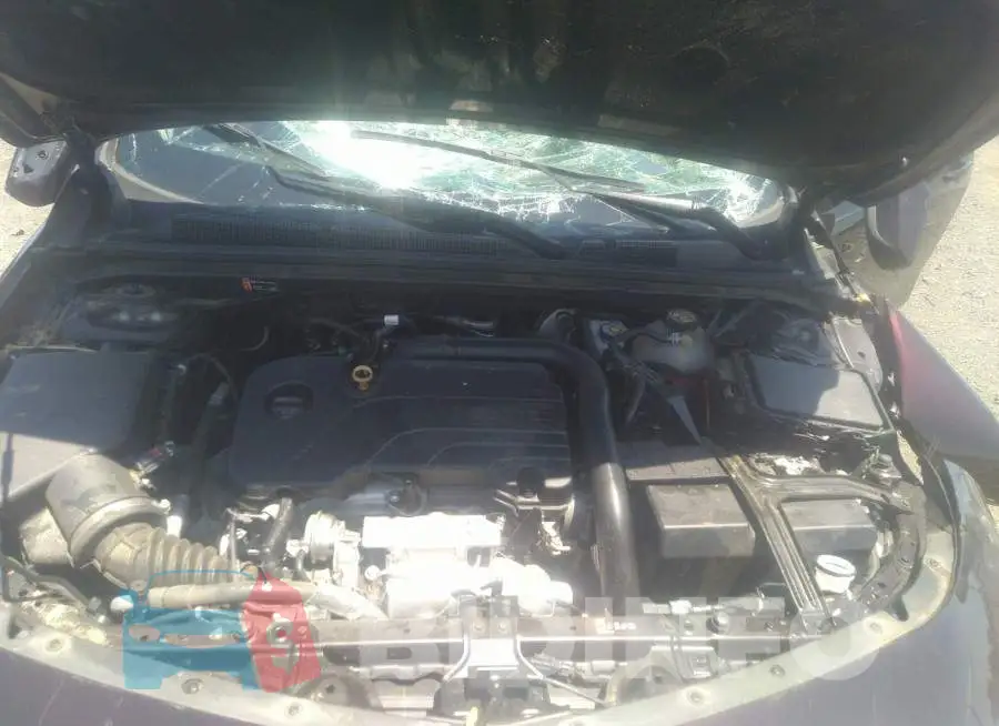 1G1ZD5ST2LF073123 Photo# 10