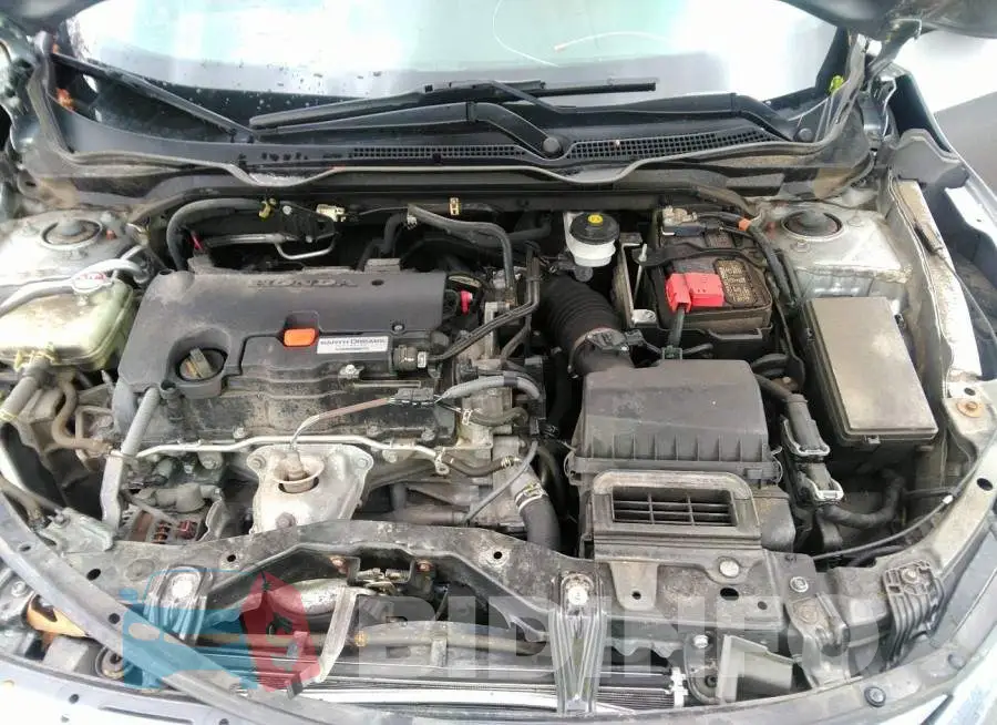 19XFC2F54JE202266 Photo# 10