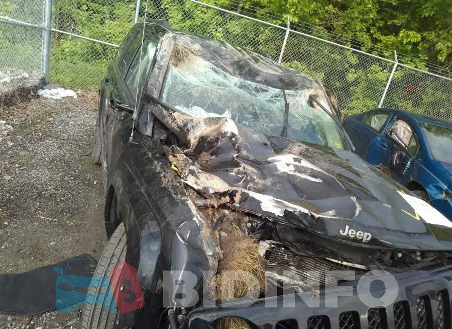 1C4NJRBB5GD627916 Photo# 6