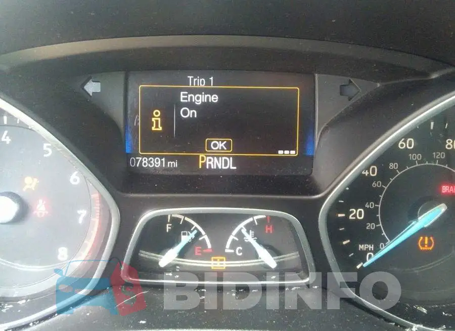 1FADP3E2XGL293445 Photo# 7