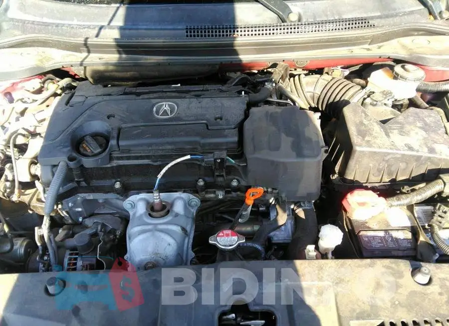 19UDE2F35GA011307 Photo# 10