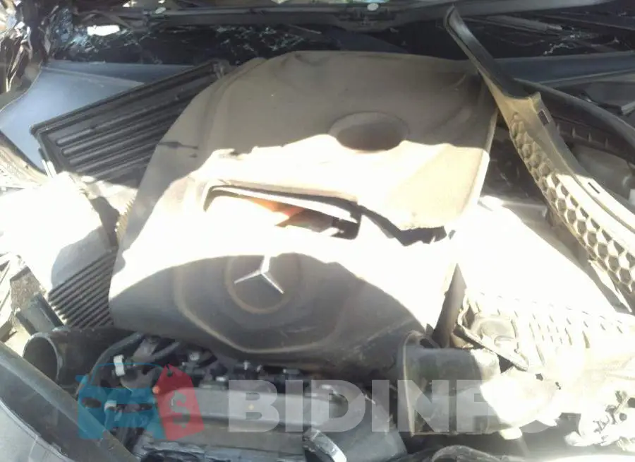 WDDWJ4JB8JF722061 Photo# 10
