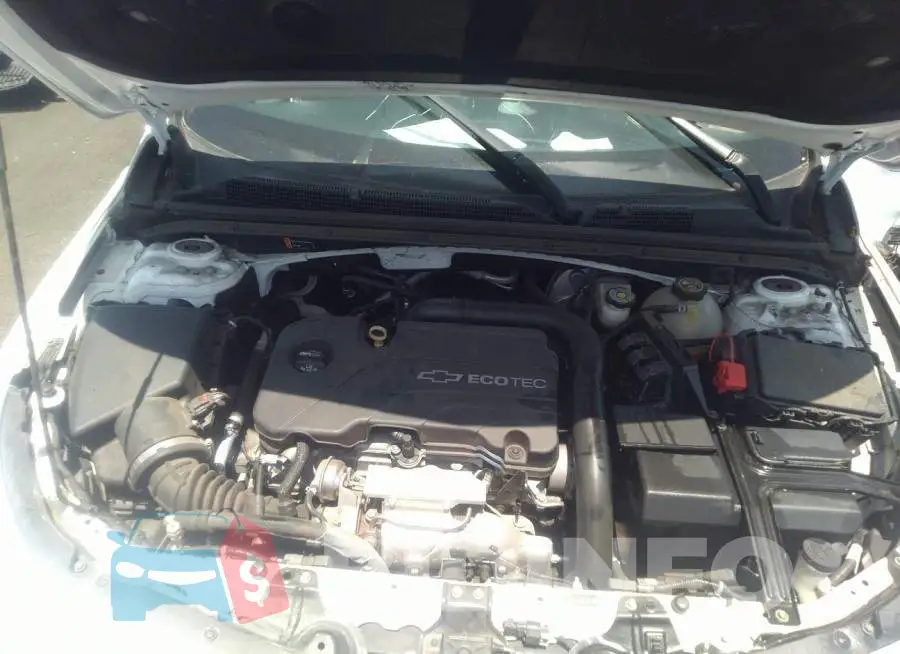 1G1ZE5ST2HF131915 Photo# 10