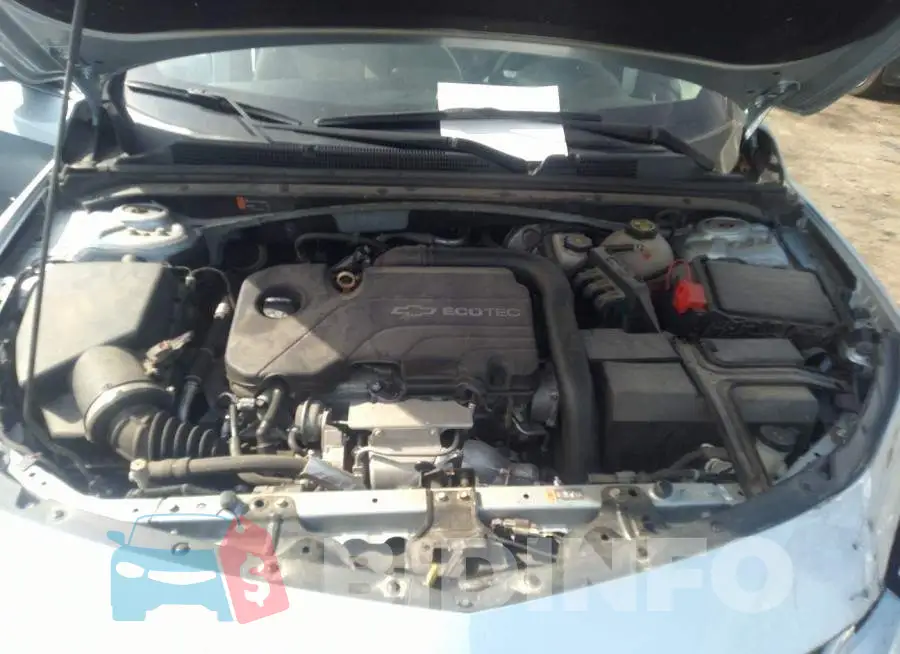 1G1ZE5ST1HF161374 Photo# 10