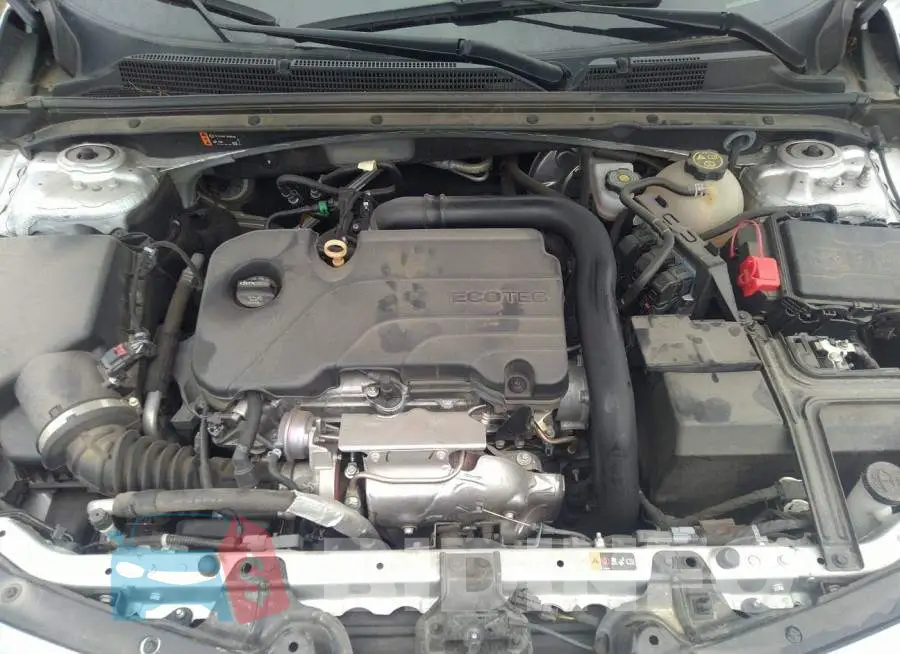 1G1ZD5ST9MF001644 Photo# 10