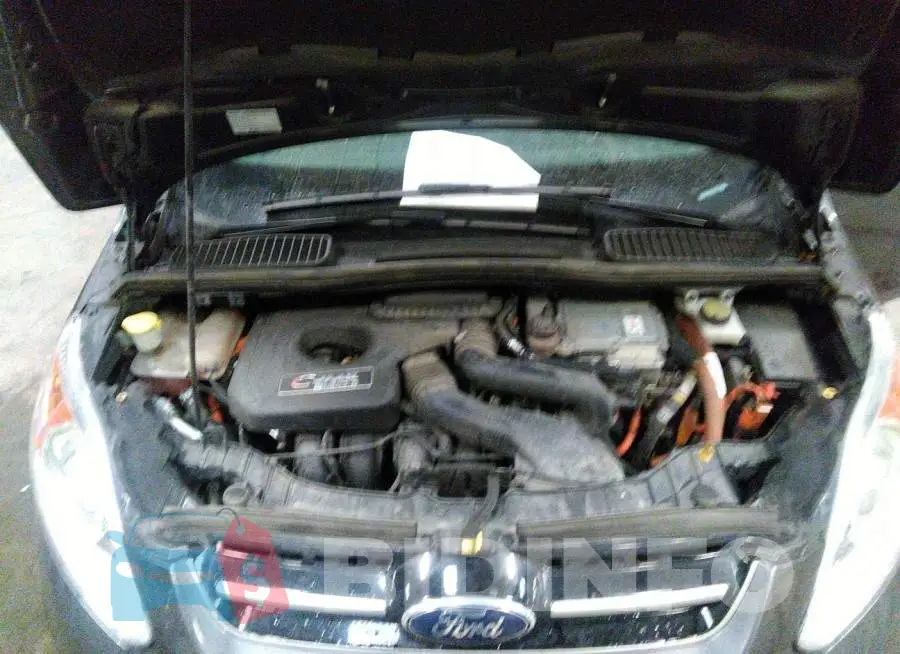 1FADP5CUXGL101151 Photo# 10