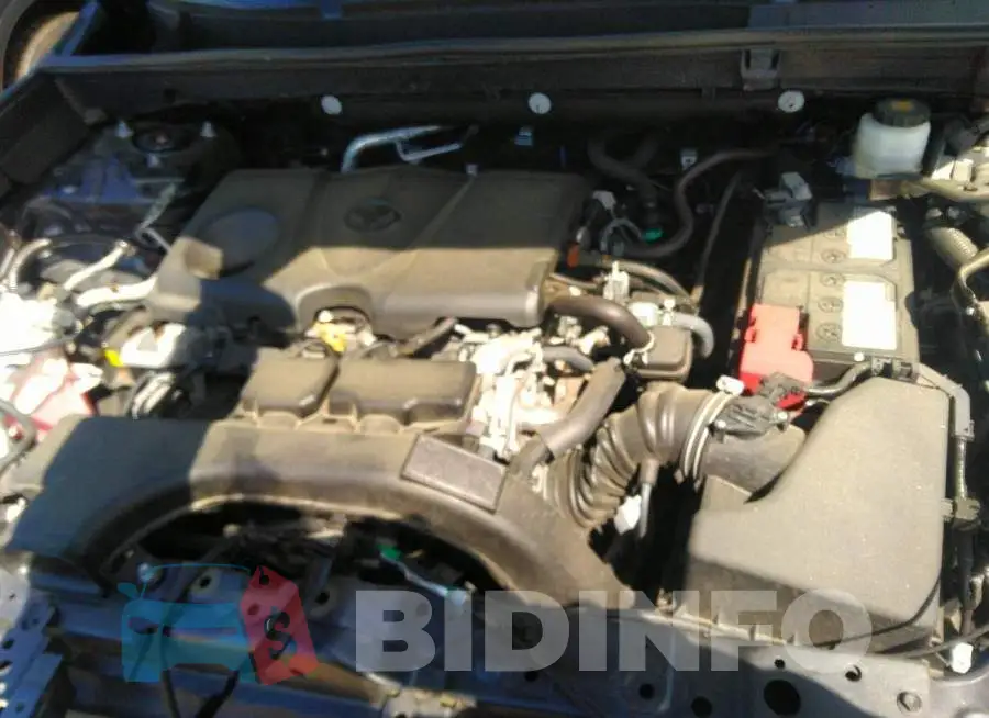 2T3F1RFV5MW145891 Photo# 10
