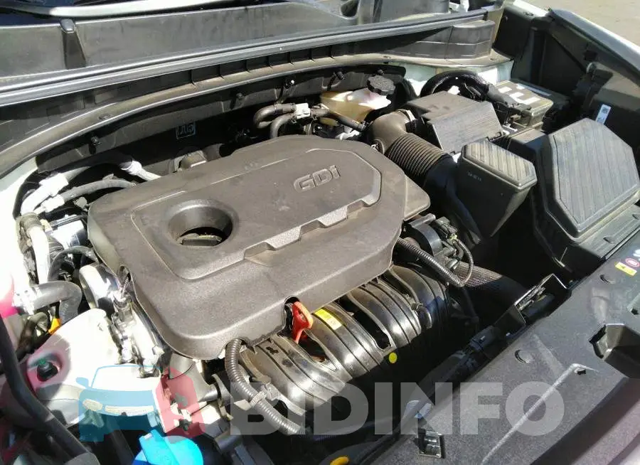 KNDPM3AC9N7000591 Photo# 10