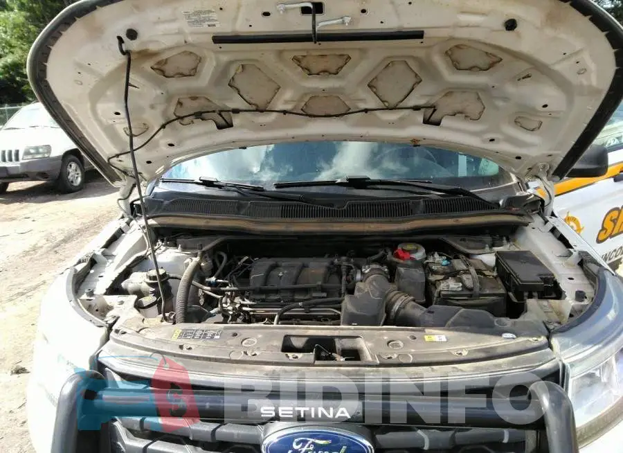 1FM5K8AR9JGA37614 Photo# 10