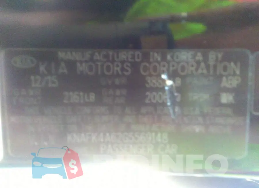 KNAFK4A62G5569148 Photo# 9