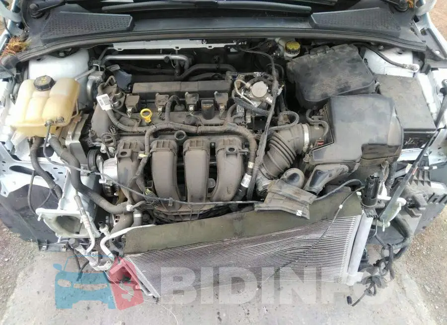1FADP3K20GL362552 Photo# 10
