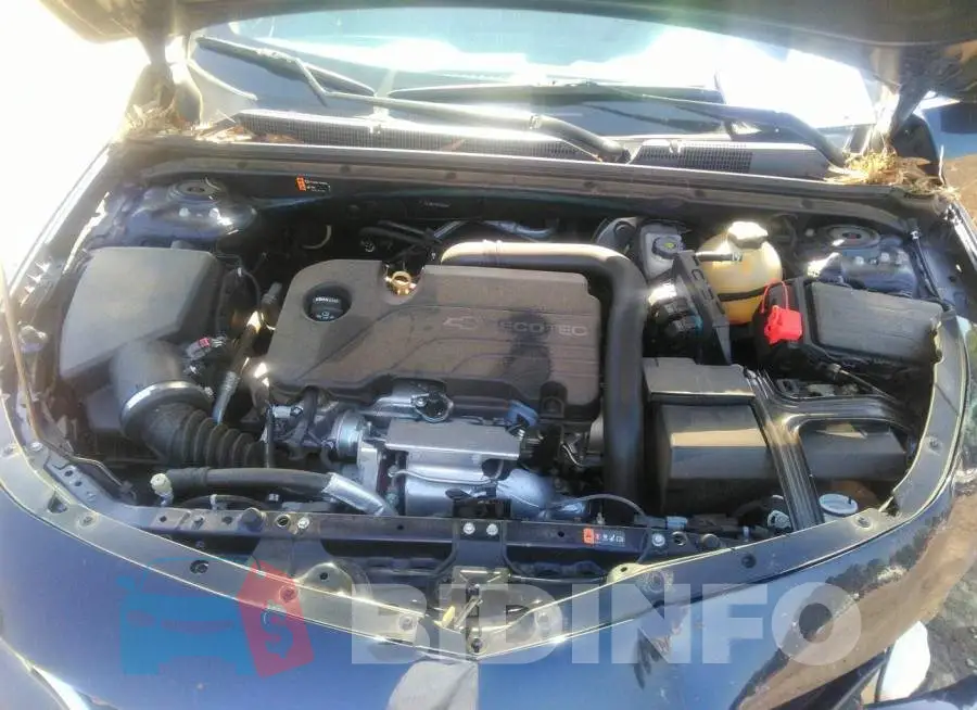 1G1ZB5ST3HF108541 Photo# 10