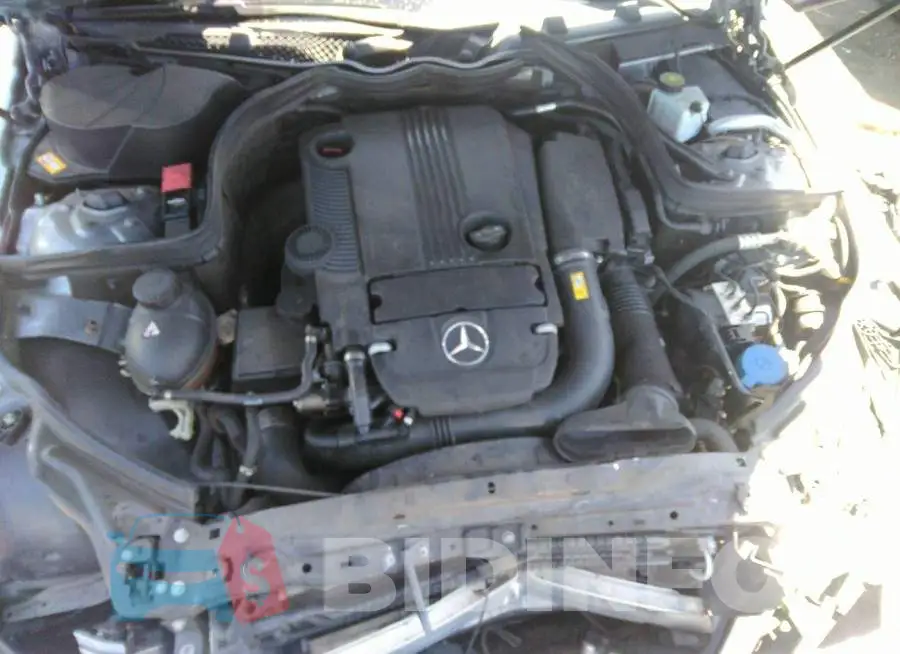 WDDGJ4HBXFG372783 Photo# 10